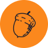 Acorn icon on an orange circle.